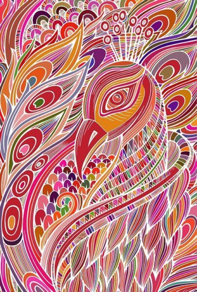 Fototapeten Grafische Pfau