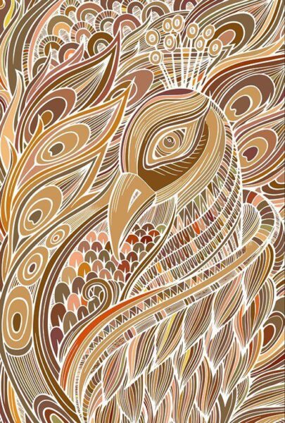 Fototapeten Grafische Pfau