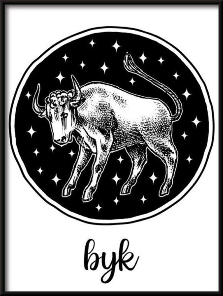 Poster Zodiac Stier Zeichen