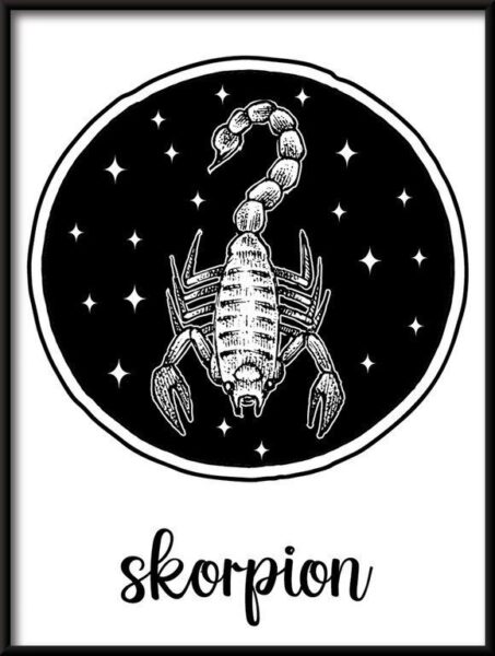 Poster Sternzeichen Skorpion