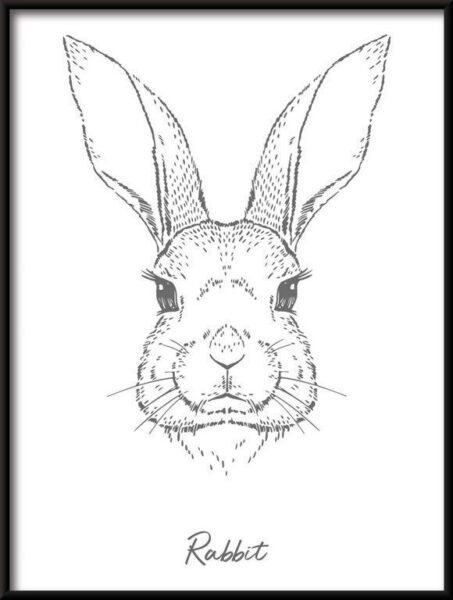 Poster Linear Kaninchen