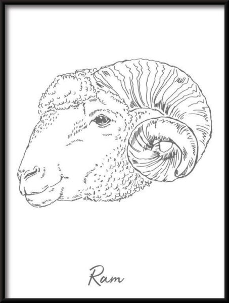 Poster Linear Widder