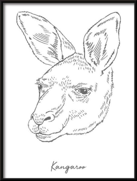 Poster Linear Kangur
