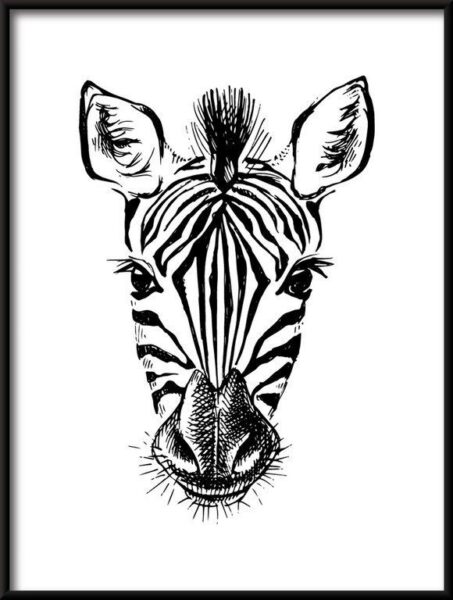 Poster gezeichnete Zebra