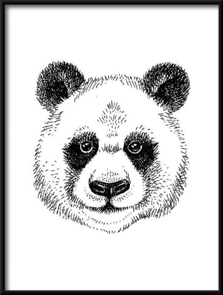 Poster Panda gezeichnet
