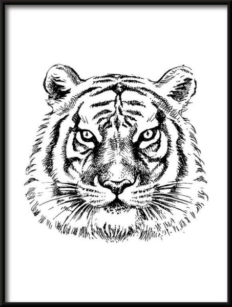 Poster gezeichnet Tiger