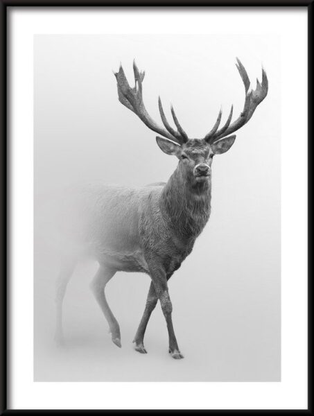 Poster Der Hirsch im Nebel