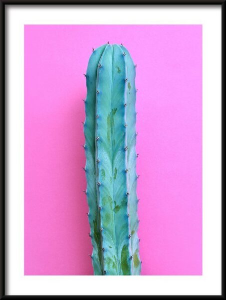 Poster Neon Kaktusstimmung