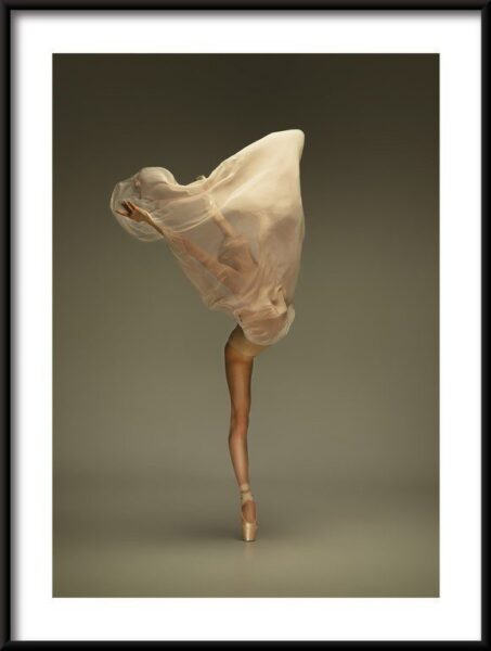 Poster Ballerina Dance