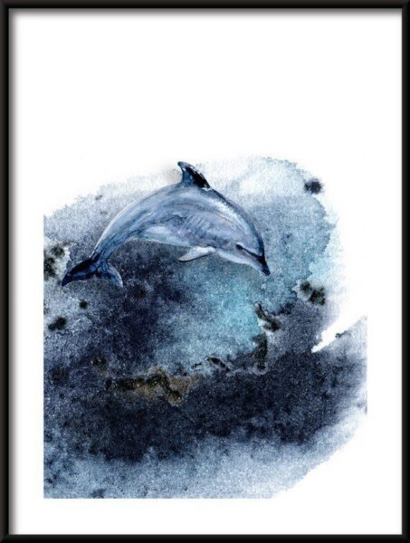 Poster Delphin