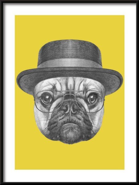 Poster Bulldog