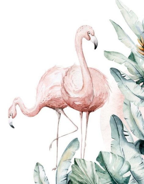 Fototapeten Flamingos in Dschungel