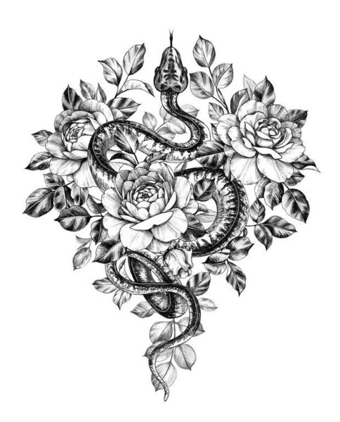 Fototapeten Schlange und Rose