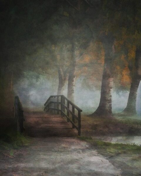 Fototapeten Brücke im Park