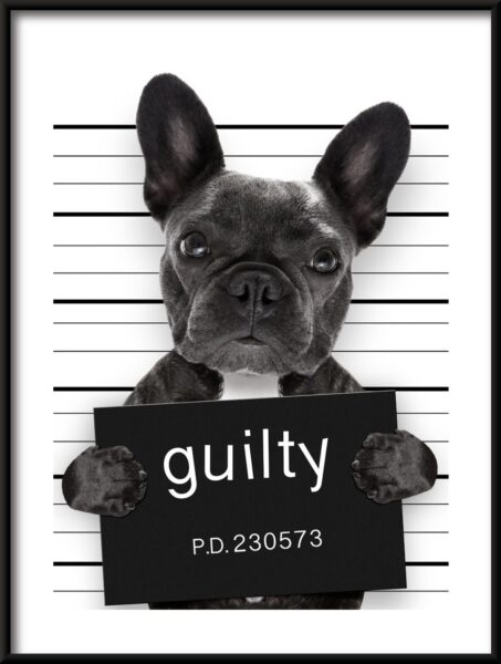 Poster Guilty