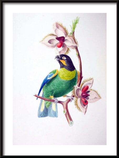 Poster Vogelrevolte