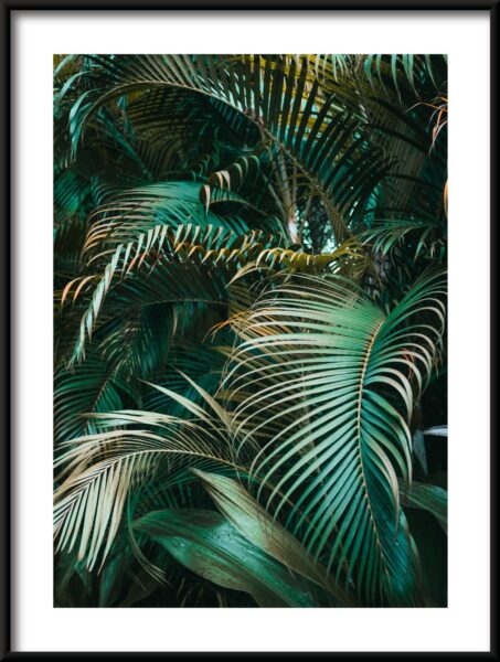 Poster Palmenblätter
