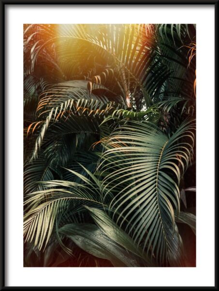 Poster Palm Light