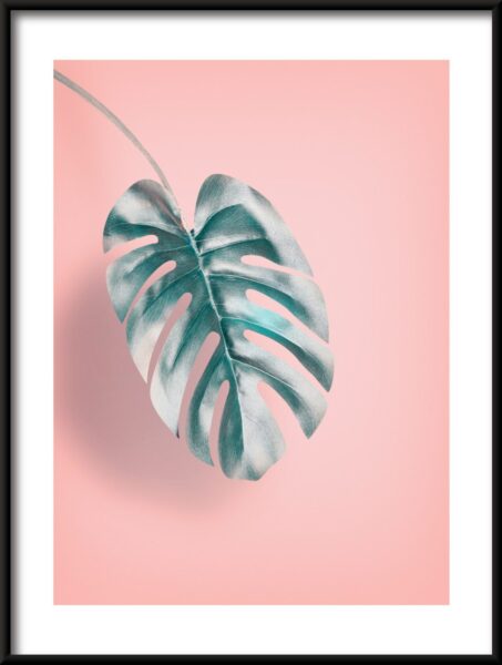 Poster Blatt auf Rosa