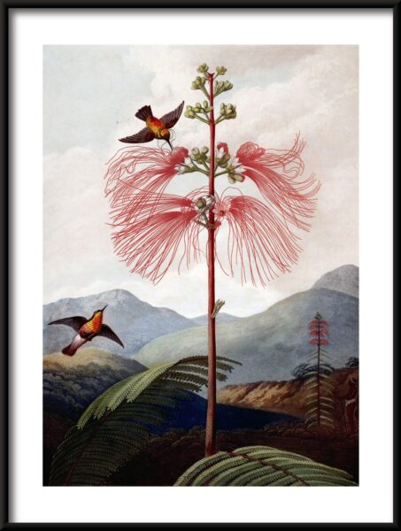 Poster Baum des Paradieses
