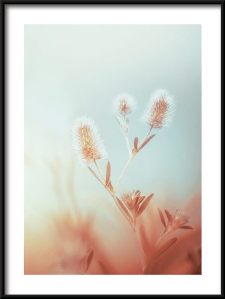 Poster Pflanze im Nebel