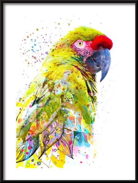 Poster Bunter Papagei