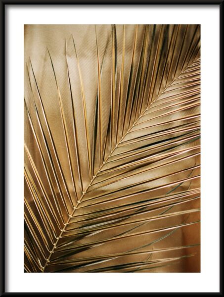 Poster Palme