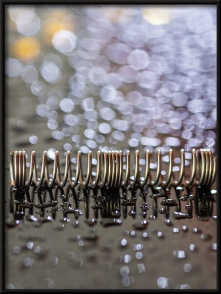 Poster Wet Spring