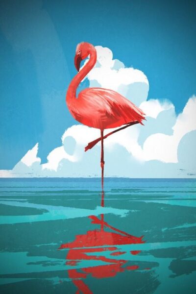 Fototapeten Flamingo im Wasser