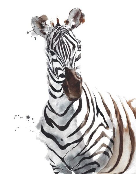 Fototapete Zebra Portrait