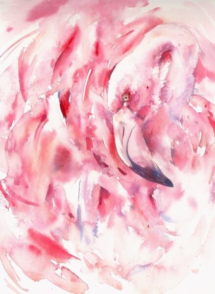 Fototapete Flamingo-Augen