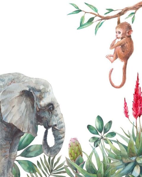 Fototapete Affe und Elefant