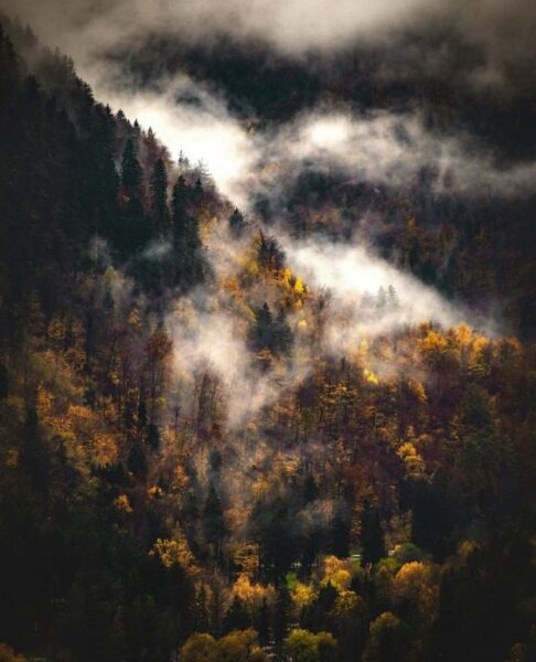 Fototapete Herbstnebel