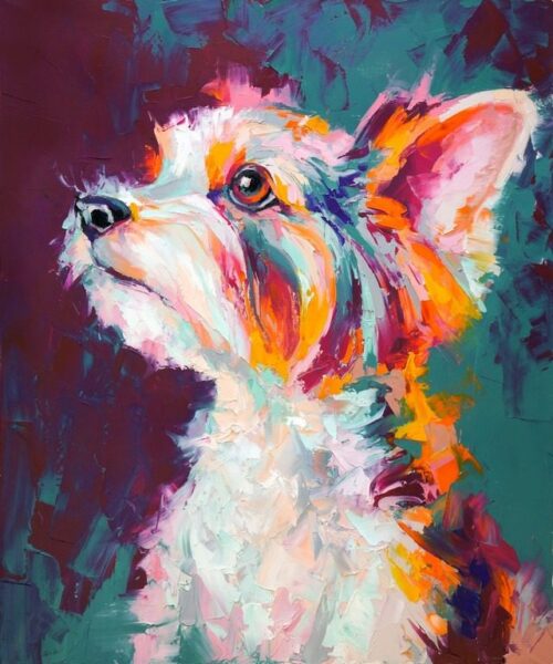 Fototapete Doggy Portrait