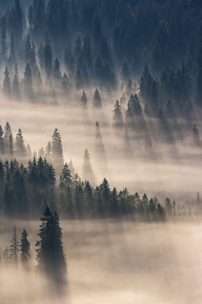 Fototapete Nebel wie Regen