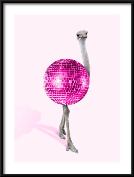 Strauß-Disco-Plakat