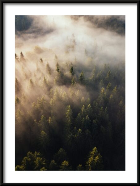 Der Fluss des Nebels Poster