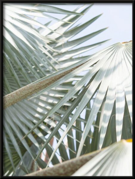 Palme-Plakat