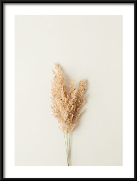 Gras-Portrait-Plakat