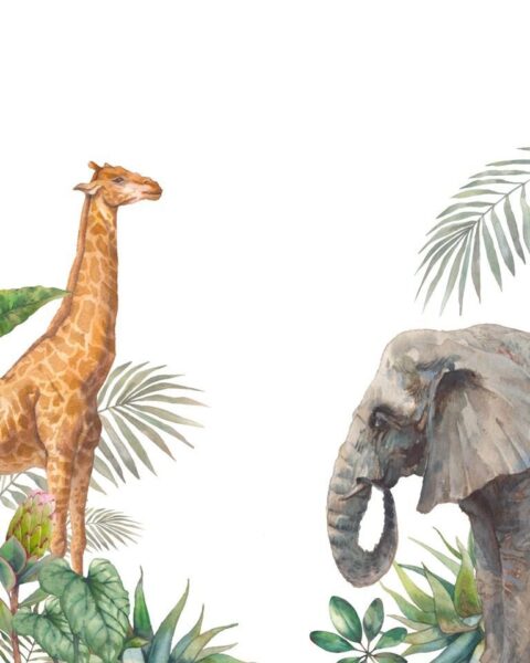 Fototapeten Elefant und Giraffe