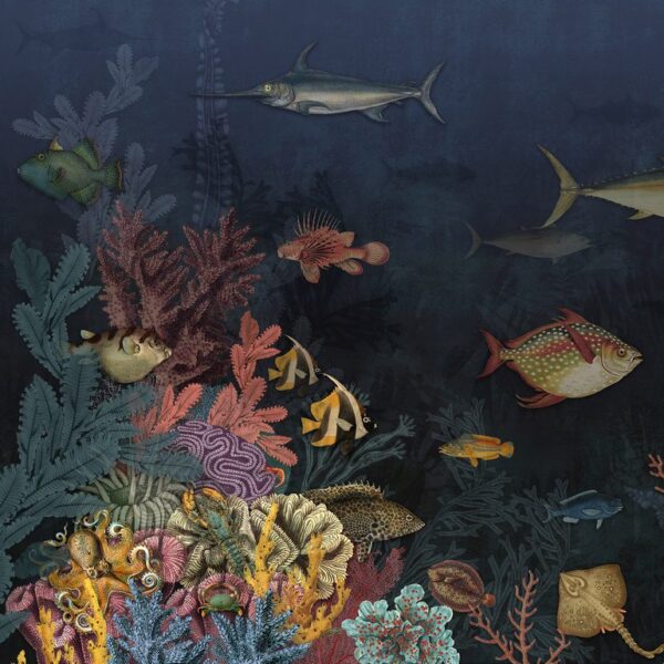 Fototapeten Meeresaquarium