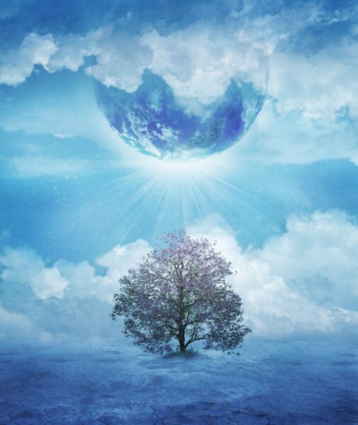 Fototapeten Letzter Baum