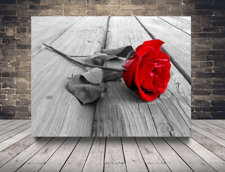 Bild Rose auf Holz