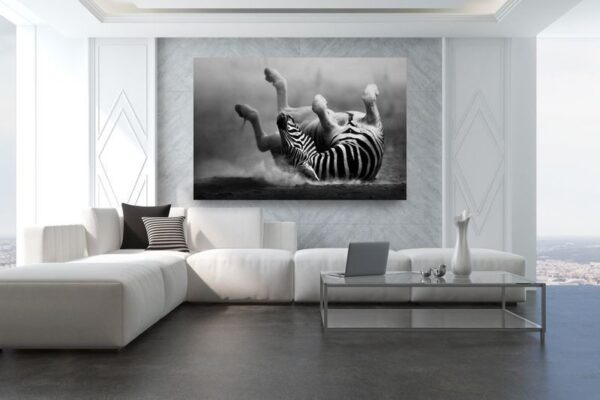 Bild Zebra – Bild 3
