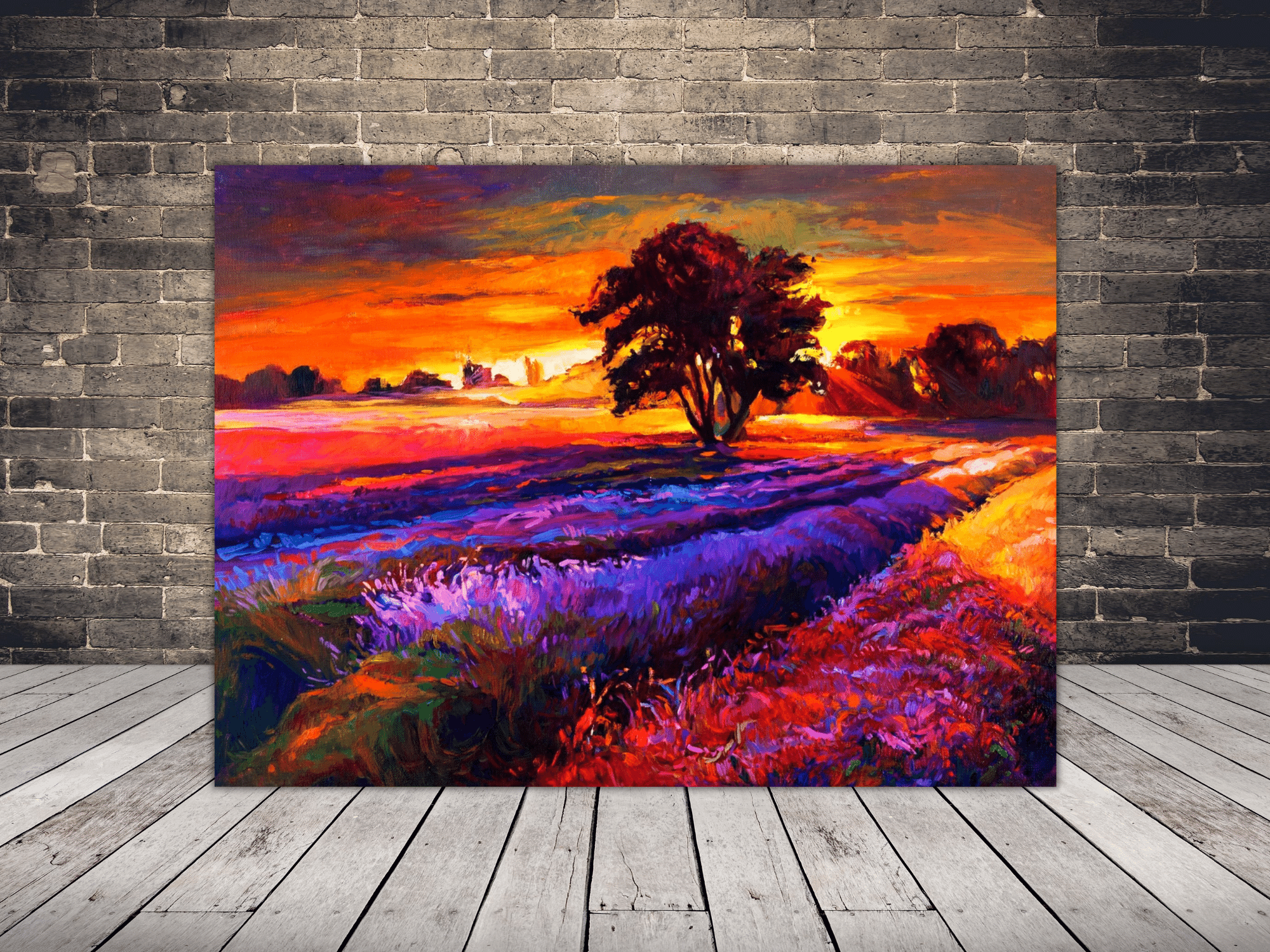 Bild bei Lavendelfeld Sonnenuntergang