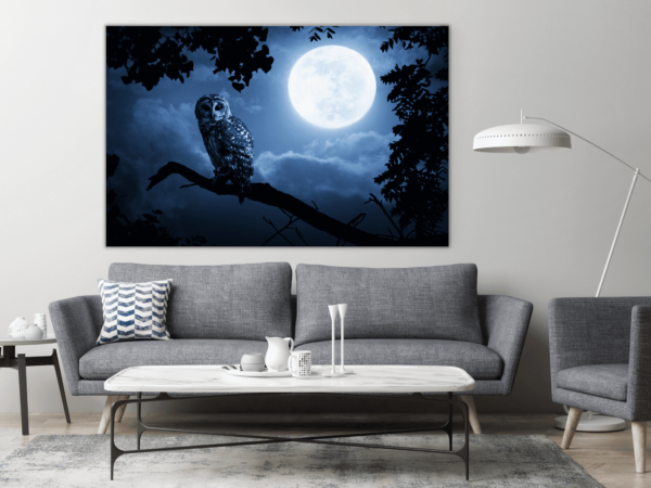 Bild Eule und Mond – Bild 3