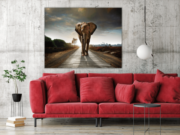 Bild Elefant auf dem Weg – Bild 3