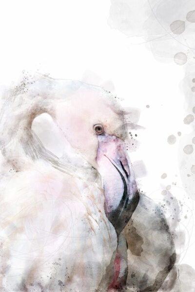 Fototapete Gemalter Flamingo