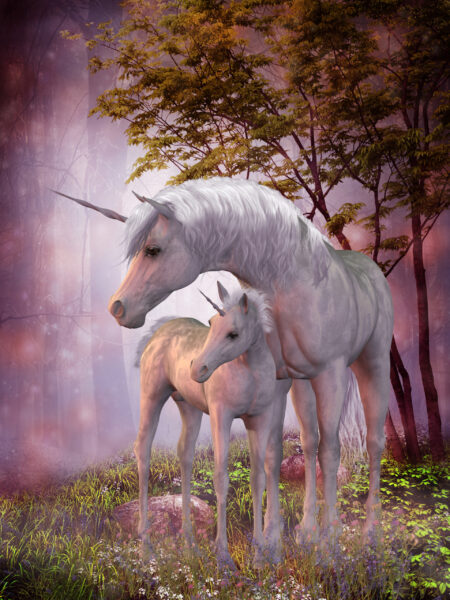 Fototapeten Einhornstute und Fohlen