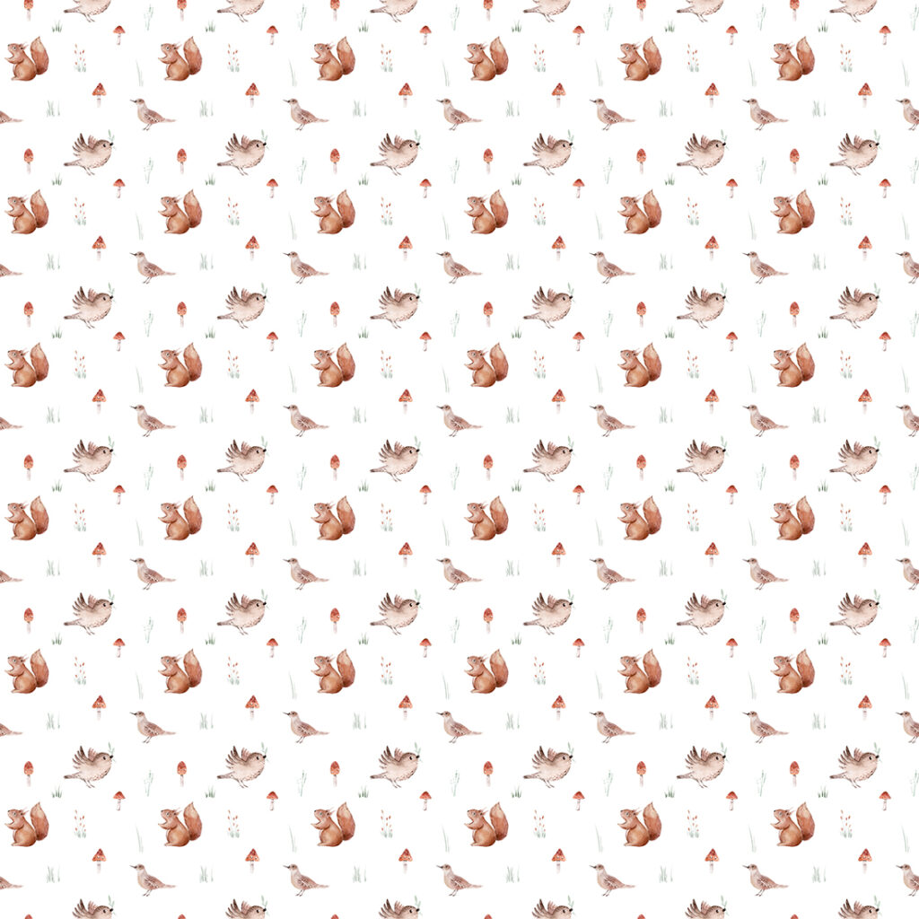 Fototapeten Eichhörnchen